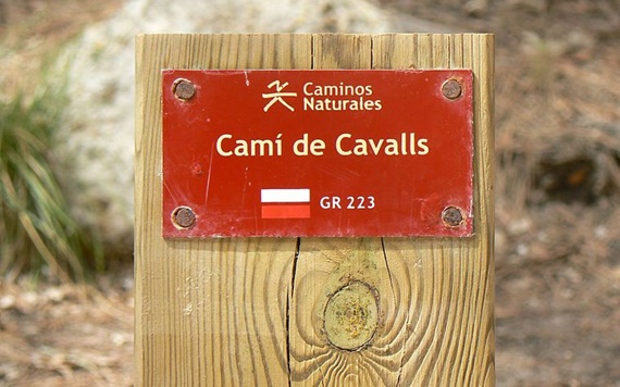 cami de cavalls