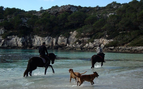 Petit Russó, excursiones a caballo por Menorca