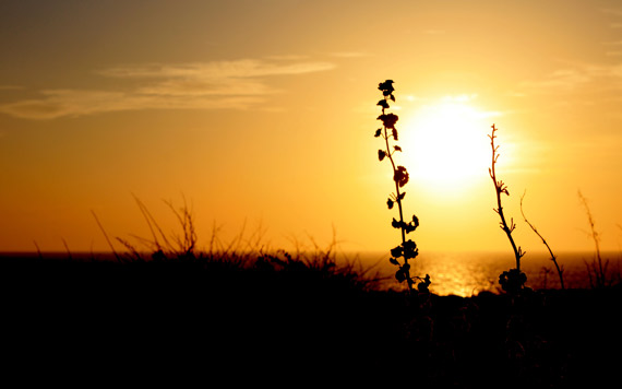 Puesta sol Menorca