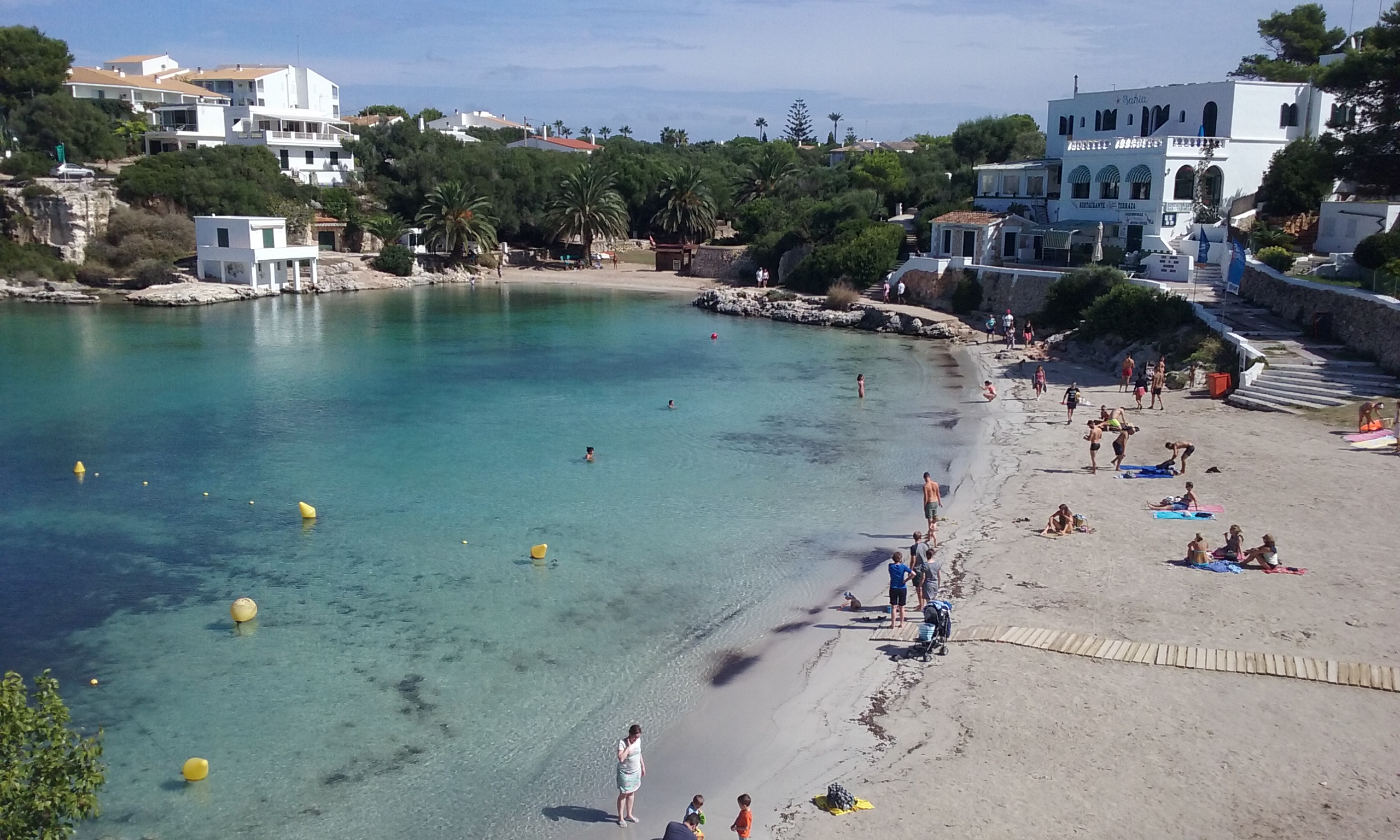 Cala Blanca con pinos junto al mar
